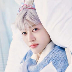na jaemin (nct)